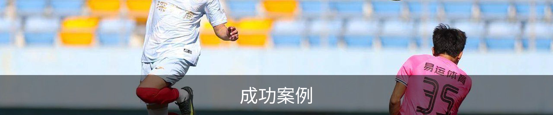 成功案例